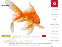 Tablet Screenshot of mrw-mascotas.com
